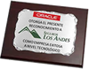 Reconocimiento ORACLE